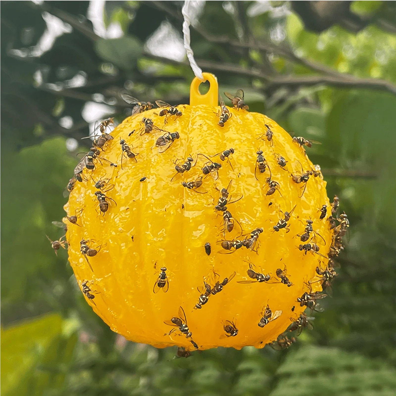 Waterproof Dual Color Fly Catching Ball Visual Attraction Design Durable Adhesive Orb Trap Wandering Winged Pests Practical Farm Oasis Select Yellow