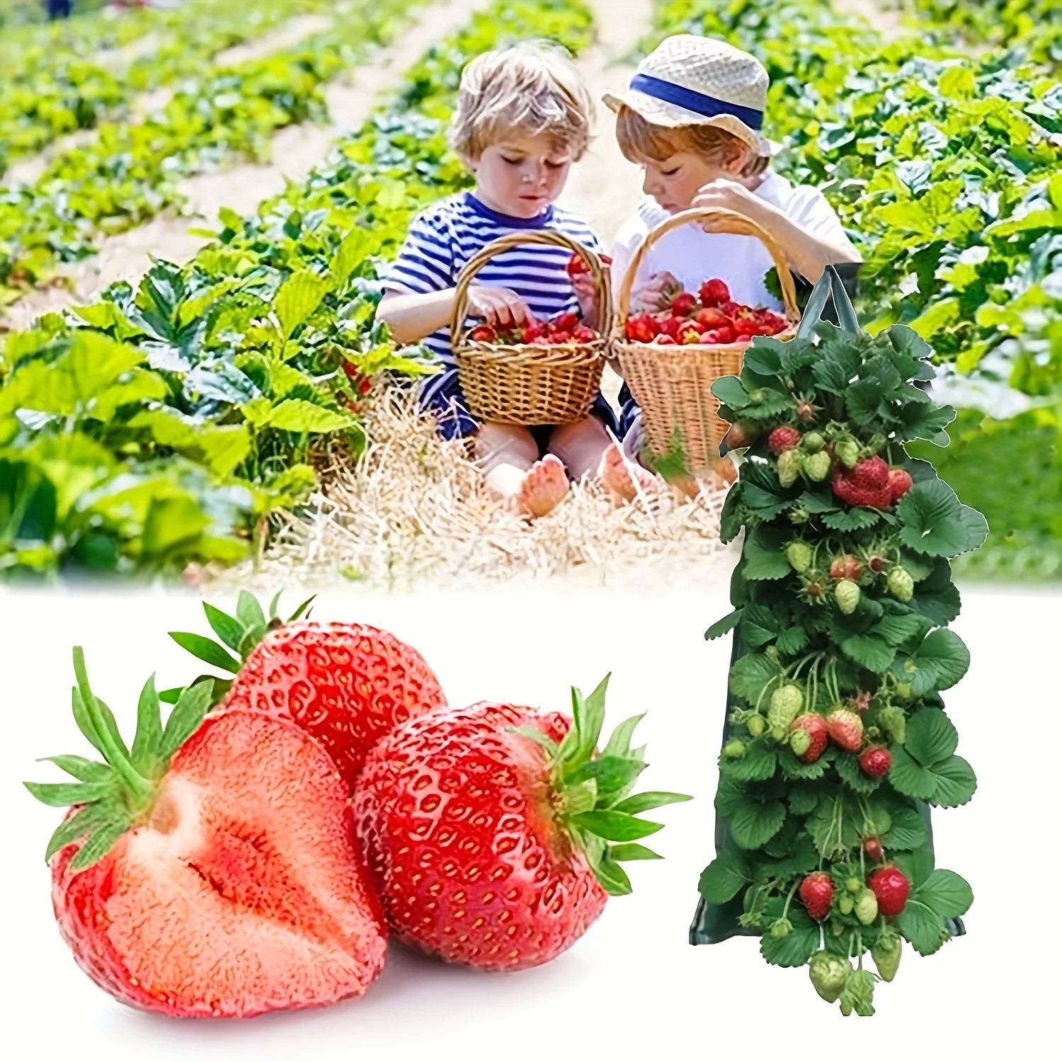3pcs Hanging Plant Bags with 8 Holes for Strawberries, Multi-Pocket Perforated Grow Bags for Home Fruit Cultivation & Garden Use Oasis Select