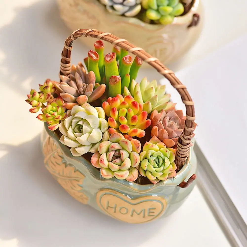 Corrosion-resistant Ceramic Succulent Planter Decorative Breathable Creative Flower Pot With Handle Nordic Flowerpot Ornament Oasis Select