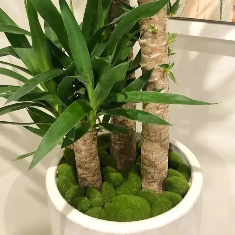 10Pcs Simulation Moss Stone Artificial Moss Rocks Ball Fake Green Plant for Home Garden Flower Pot Decoration Creative Crafts Oasis Select