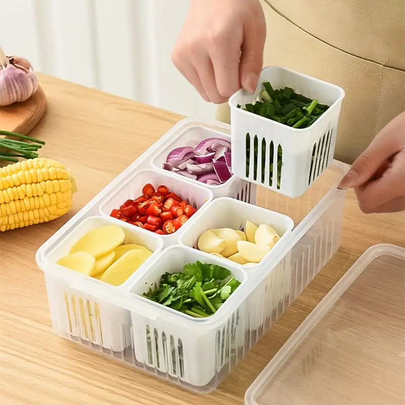 Freezer Storage Containers, Container for Kitchen Storage Set, Storage in Kitchen, Vegetable Storage Oasis Select