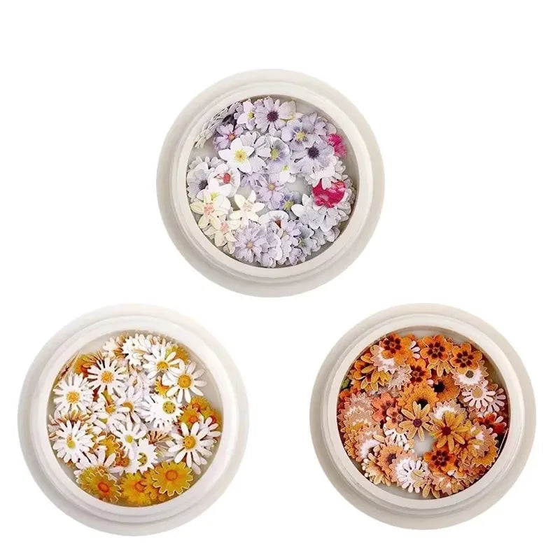 1/3/4Pcs Mixed-color Dried Flowers Resin Craft Dry Flowers Nail Art Decoration Natural Ultra-thin Mini Nail Flowers Oasis Select 01-06-07