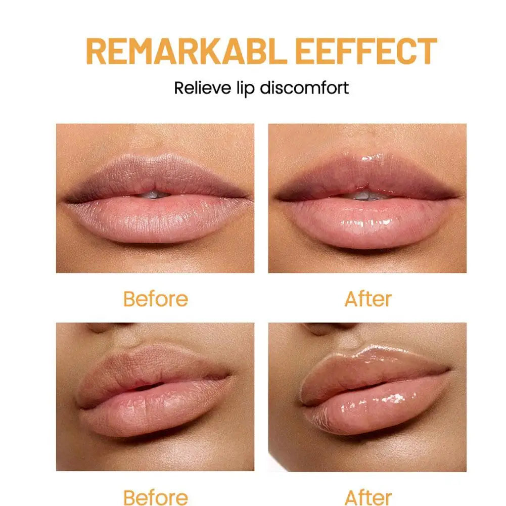24PCs Natural Fresh Fruit Lip Balm Set Winter Moisturizing Lip Oil Long-Lasting Glossy Nourishing Lipstick Dry Lip Care Makeup Oasis Select