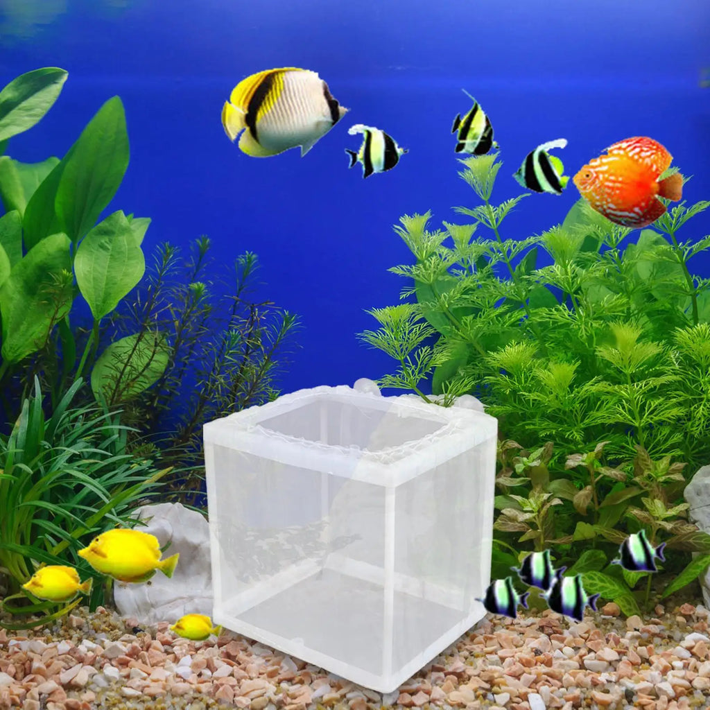 Breeder Box for Fish Tank Fish Isolation Box Mesh Box Juvenile Fish Separation Net with Suction Cups Fish Tank Incubator Box Oasis Select