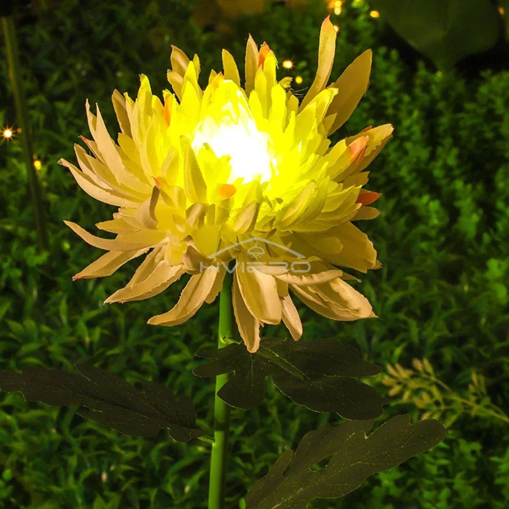 Solar Chrysanthemum LED Garden Stake Light | IP65 Waterproof
