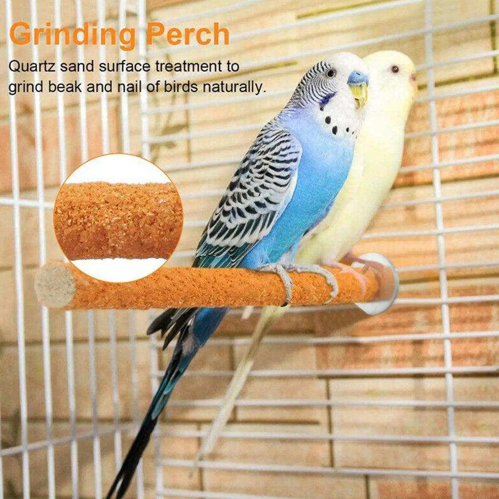 Parrot Claw Beak Grinding Bar Standing Stick Bird Perch Stand Toy Wood Parrot Paw Grinding Stick for Parakeet Cage Accessories Oasis Select
