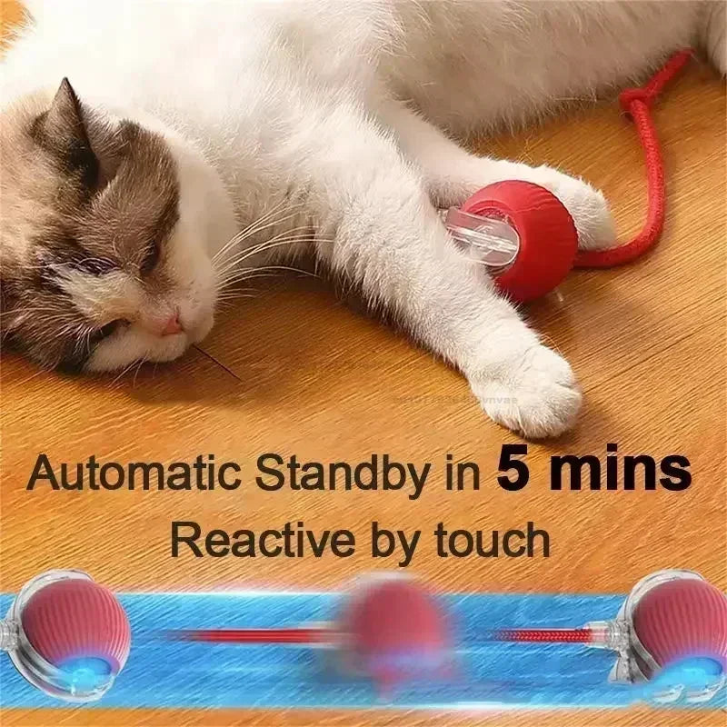 Cat Interactive Ball Toys Automatic Rolling Ball Faux Tail Rechargeable Pet Electric Toy Dog Cat Training Imitate Mouse Cat Toys