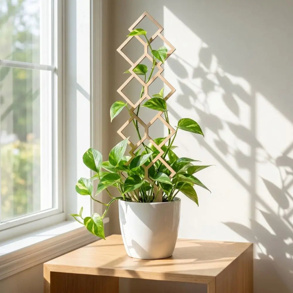 Wooden Garden Plant Trellis Hollow Out Climbing Stand Plant Support Rack Flowers Vine Geometric Plant Trellis Frame Oasis Select