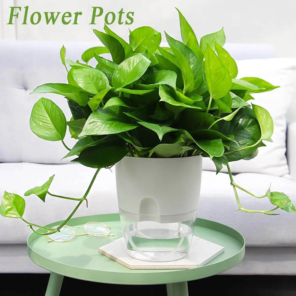 Indoor Table Purifying air Garden Supplies Green Dill Office Succulents Auto Irrigate Flower Pots Home Decor Plant Pot Planters Oasis Select