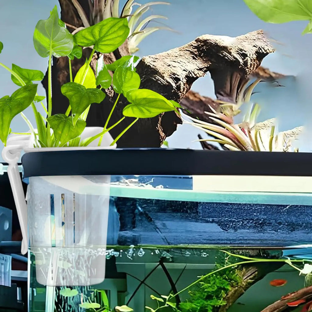 Aquatic Plant Holder Multifunctional Aquatic Planter Pot Aquarium Planter Cup For Water Fish Tank Plant Basket Hanging Decor Oasis Select