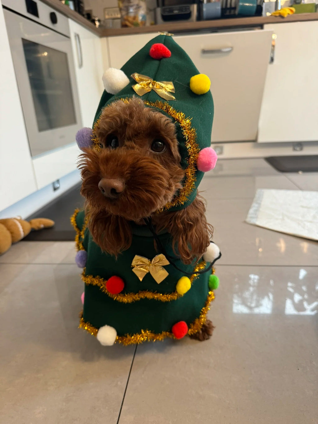 Dog Christmas Cape Cute Cat Costume Christmas Role-playing Party Oasis Select