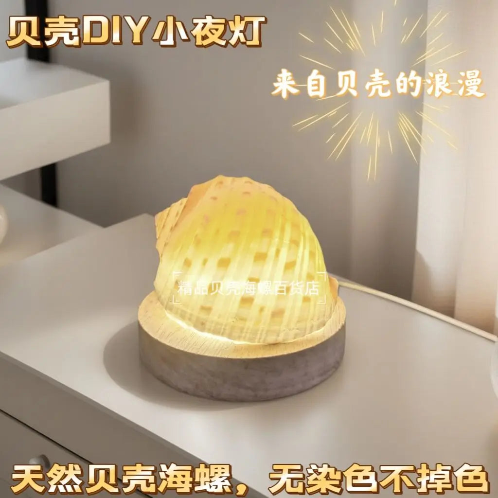 Natural Conch Sea Urchin Shell Mini Night Light Senior Children's Birthday Gift Creative Ornaments Oasis Select Wave Conch