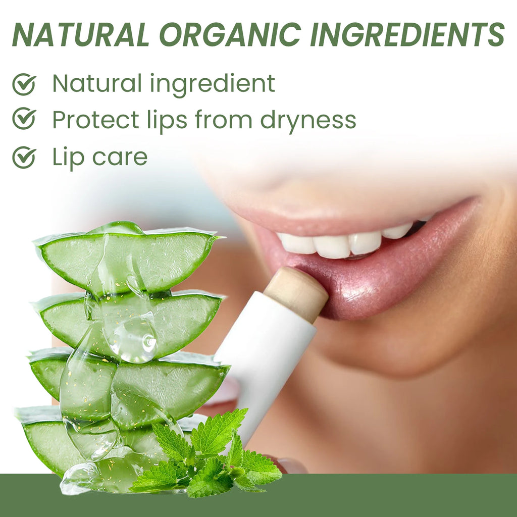 Aloe Lip Balm Fade Lip Lines Refreshing Hydrating Anti Cracking Repair Nourishing Lipstick Moisturizing Lips Balm Lip Care Oasis Select