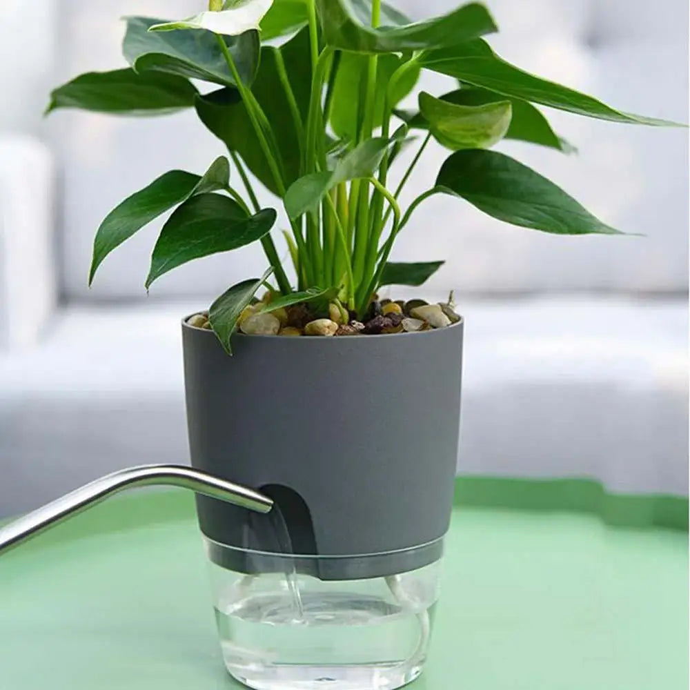 Indoor Table Purifying air Garden Supplies Green Dill Office Succulents Auto Irrigate Flower Pots Home Decor Plant Pot Planters Oasis Select