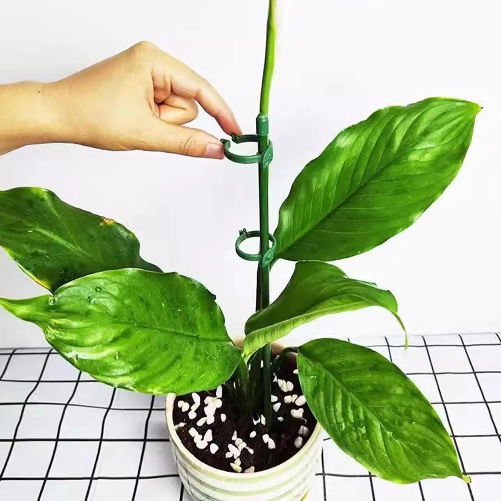10Pcs Plant Supports Stakes Adjustable Flower Stand Sticks Reusable Plant Clips Bonsai Fixing Tool Flower Grow Holder Stakes Oasis Select