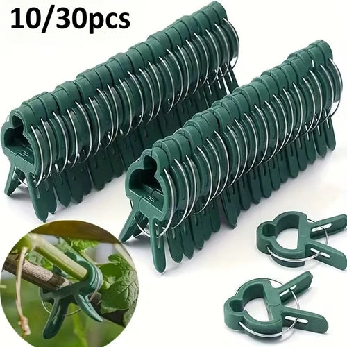 10/30pcs Reusable Garden Plant Clips, Heavy Duty Tomato Vine Fixer, Flexible Stem Support for Cucumber & Flowers, Plant Ties Oasis Select