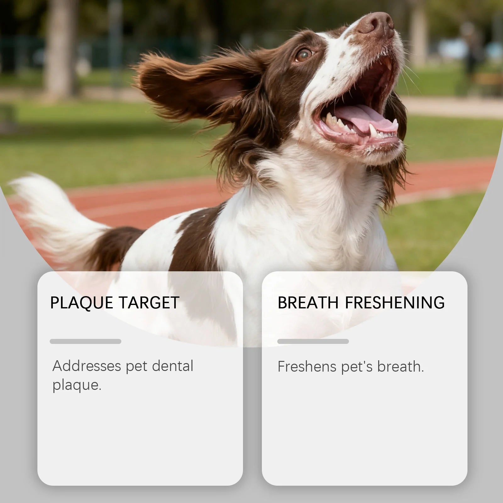 Pet Dental Care Liquid Reduces Plaque & Tartar Clean Dental Plaque Breath Freshener for Dogs Cats Eliminate Bad Breath Oral Care Oasis Select