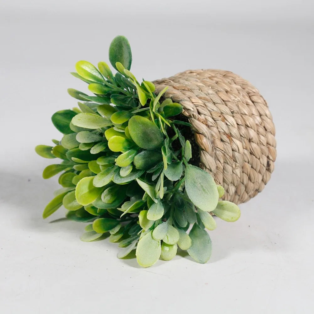 Green Artificial Potted Plant Eucalyptus Grass 11cm Simulated Potted Plants Woven Plastic Leaf Artificial Plants Home Decor Oasis Select