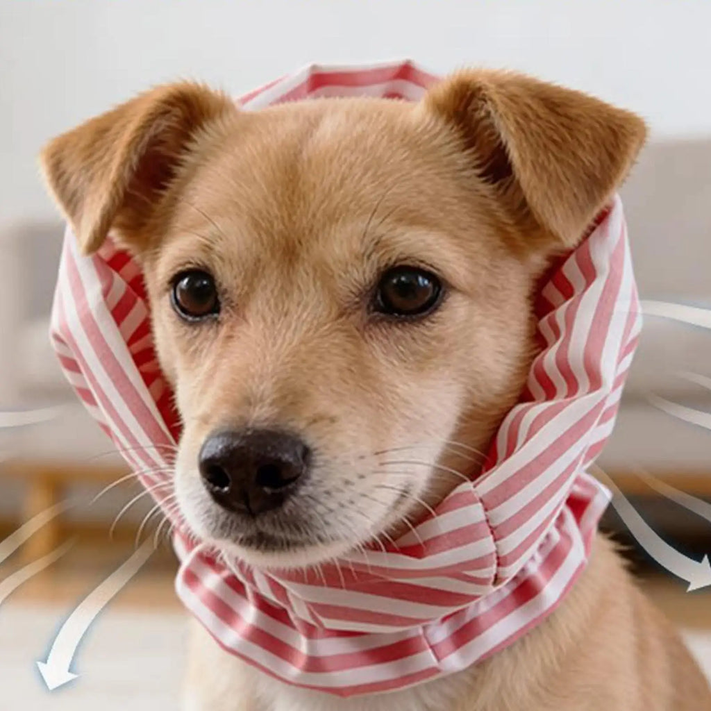 Multifunctional Pets Dog Earmuffs Windproof Pet Earmuff Noise Cancel Puppy Headband Comfortable Pet Scarf Cat Neck Protection Oasis Select