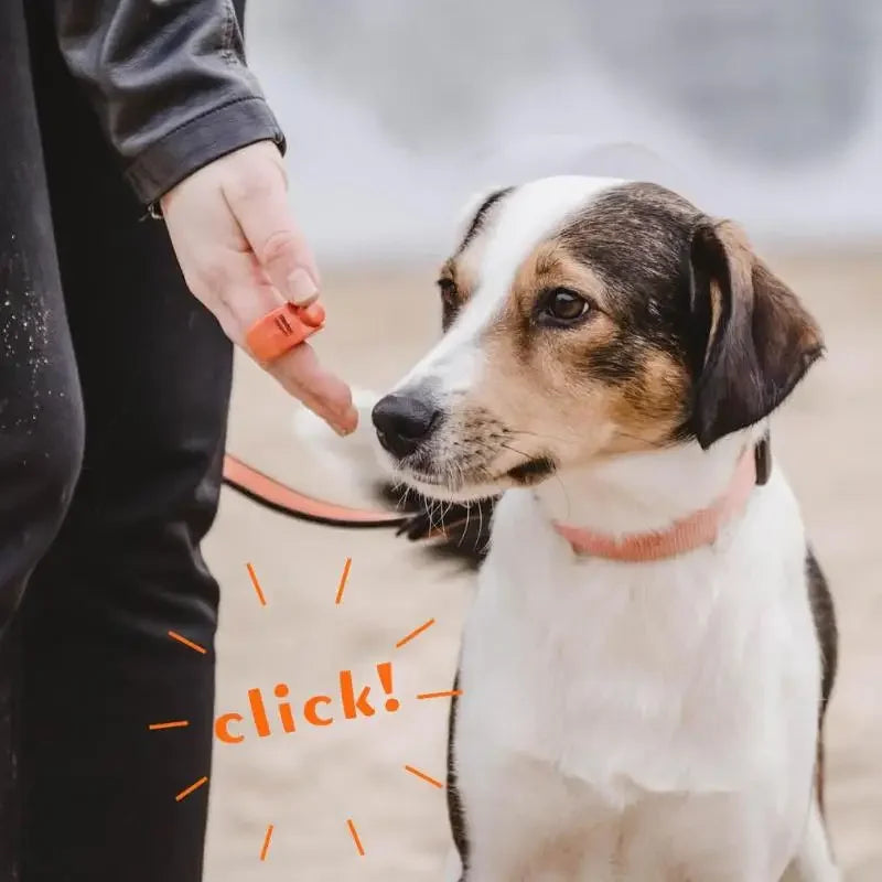 Mini Finger Clicker Pet Training Equipment Rattle Trainer New Ring Obedience Dog Training Clicker Essential Pet Supplies Oasis Select