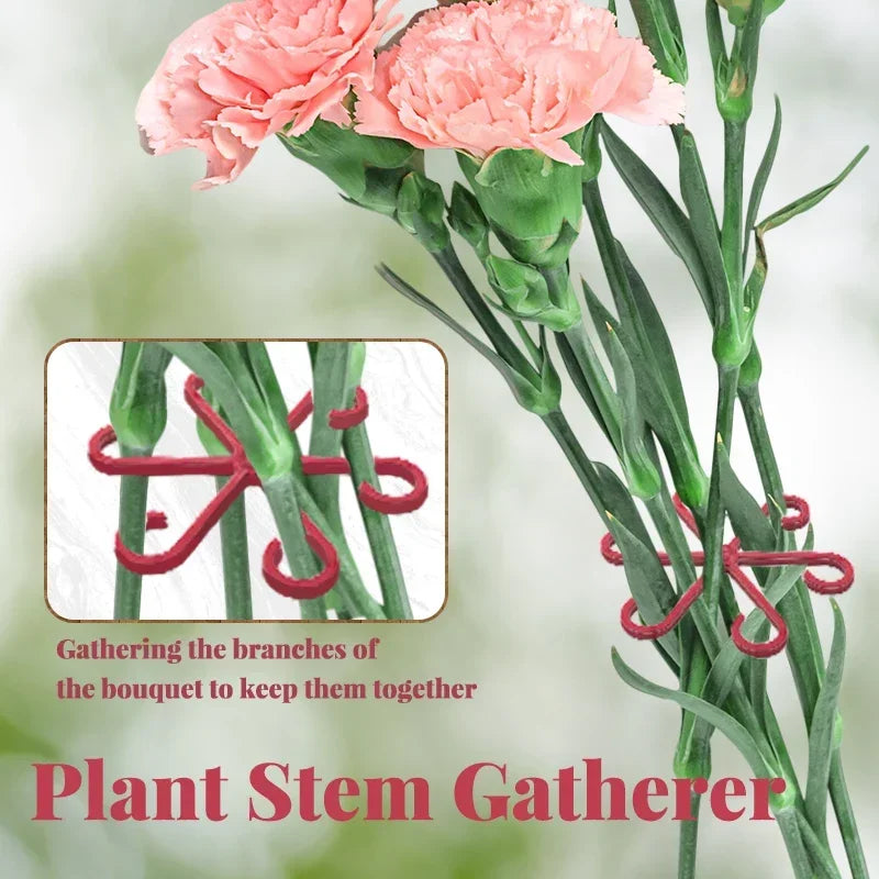 4pc Plant Fixing Clip Plant Climbing Support Frame Flower Stem Folding Frame Stem Finishing Period Gardening Tools and Equipment Oasis Select