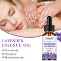 LGRAMER Lavender Essential Oil – Skin Care, Massage & Aroma