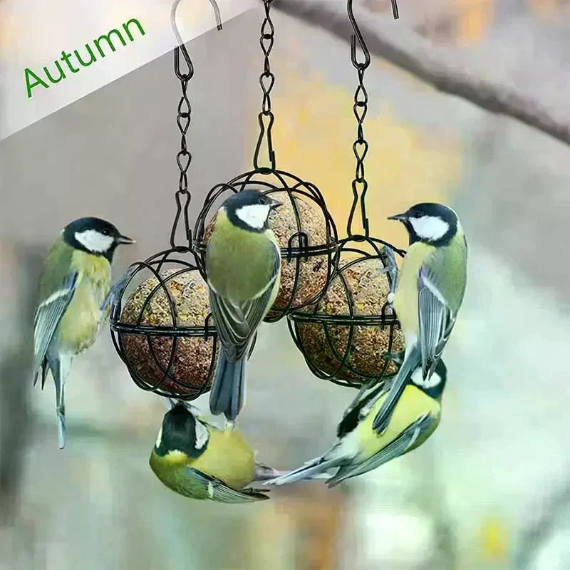 Metal Suet Ball Bird Feeder With Hanging Chain Squirrel Proof Outdoor Garden Birds Hummingbird Feeders Ball Shape Grass Feeder Oasis Select