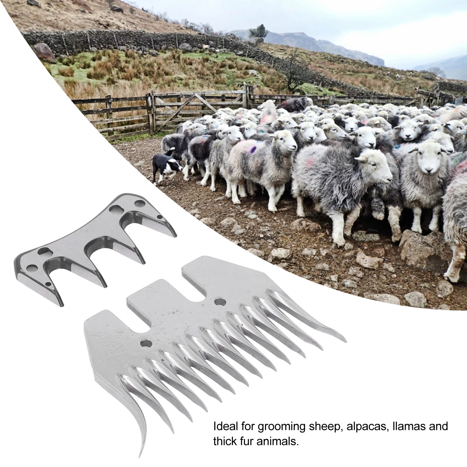 Sheep Shears Blade Curved 13 Teeth Wool Clipper Comb Cutter Trimmer Accessory Set Kit Sheep Trimmer Blade Oasis Select