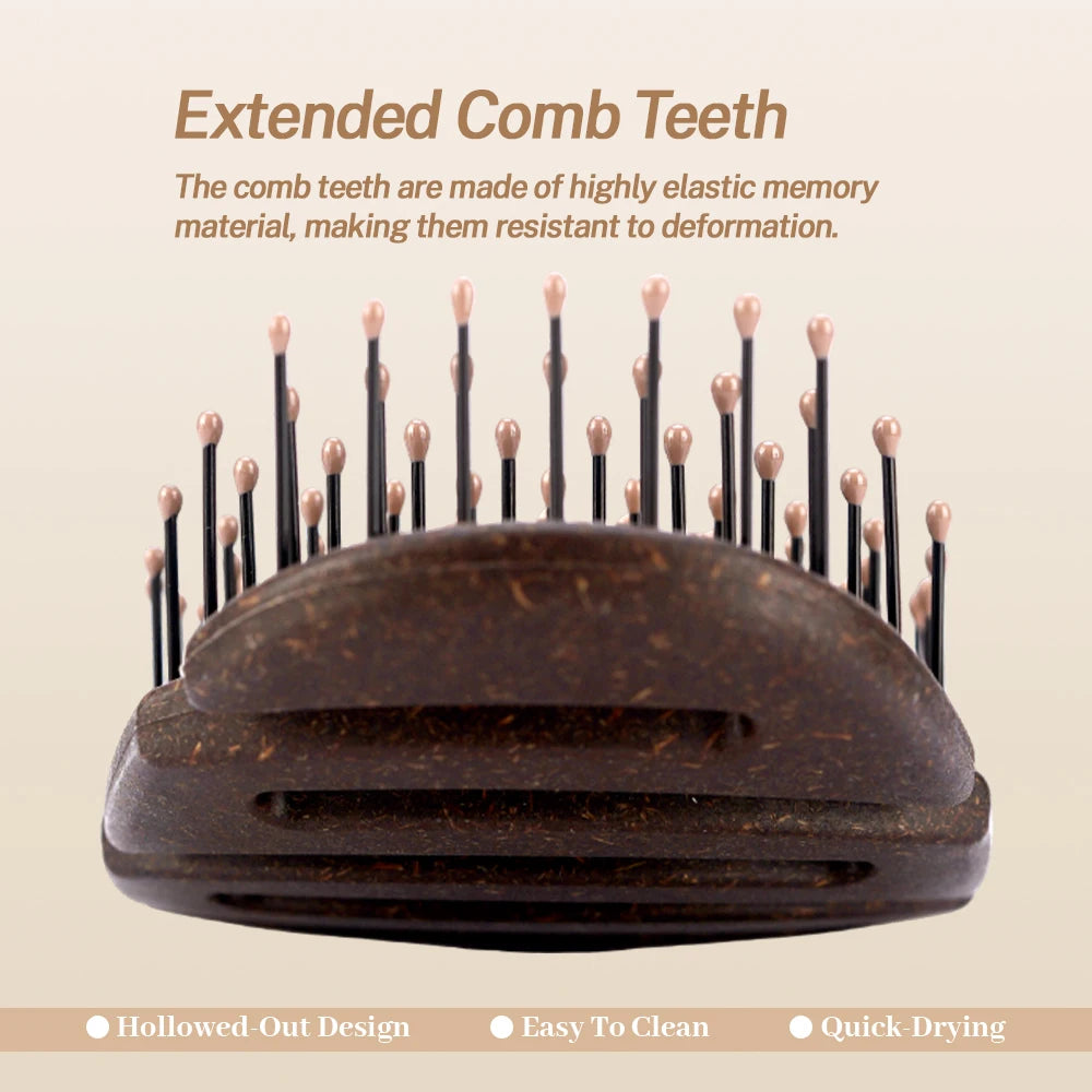 Hollow Anti-Static Hair Brush – Detangling Scalp Massage Comb Detangling Hair Brush Oasis Select