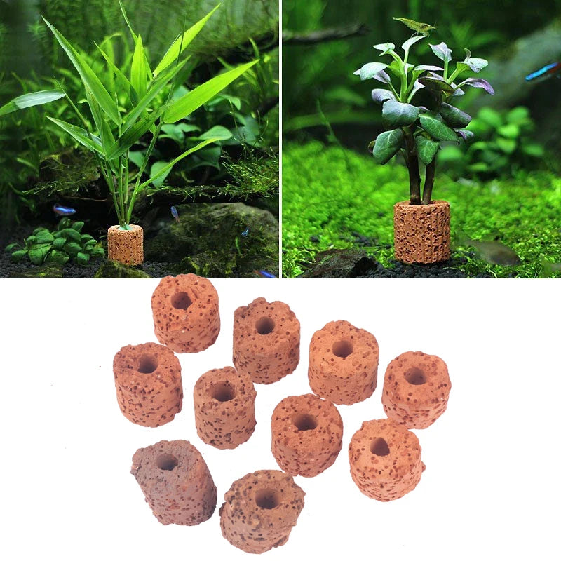 10Pcs Plant Ring Aquarium Fixed Watertank Filter Weightsholder Plants Fixing Tool Aquatic Media Pottery Gravityceramic Rings Oasis Select