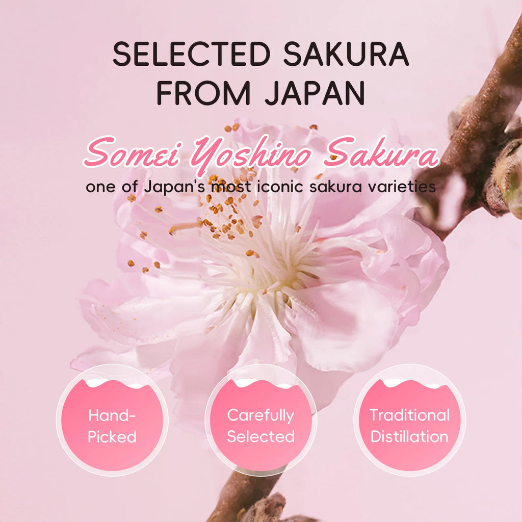 Japanese Sakura Hydrosol Facial Toner 100ml Hydrating Brightening Soothing Face Mist For Uneven Dull Skin Pore Minimizing Oasis Select