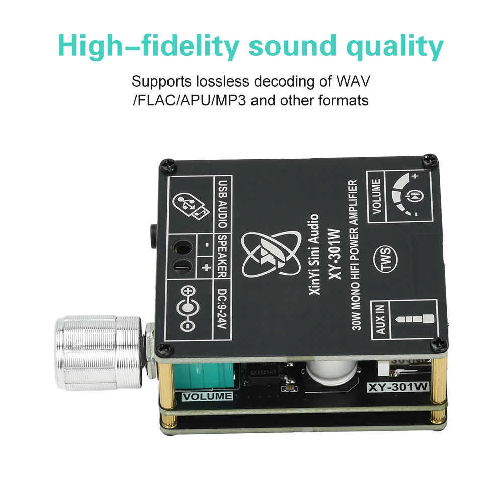 XY-301W Mono 30W Bluetooth Digital Audio Amplifier Board TWS True Wireless Box Connection Stereo DC 9-24V Oasis Select