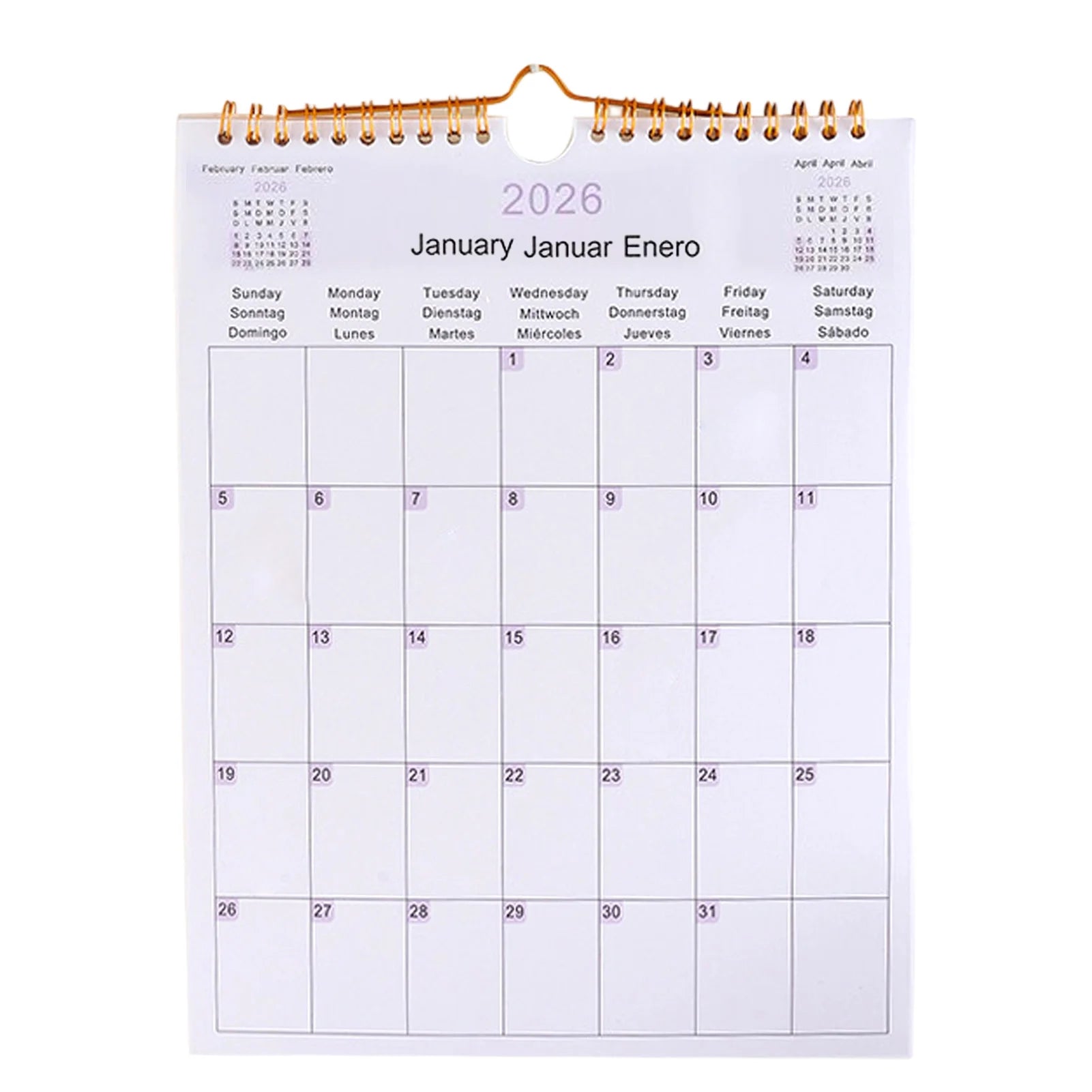 Calendar 2025 20252026 Calendar Planner Multilingual Coil Planner Agenda Organizer Scheduling For Home Office School Classroom Oasis Select 26Vertical version