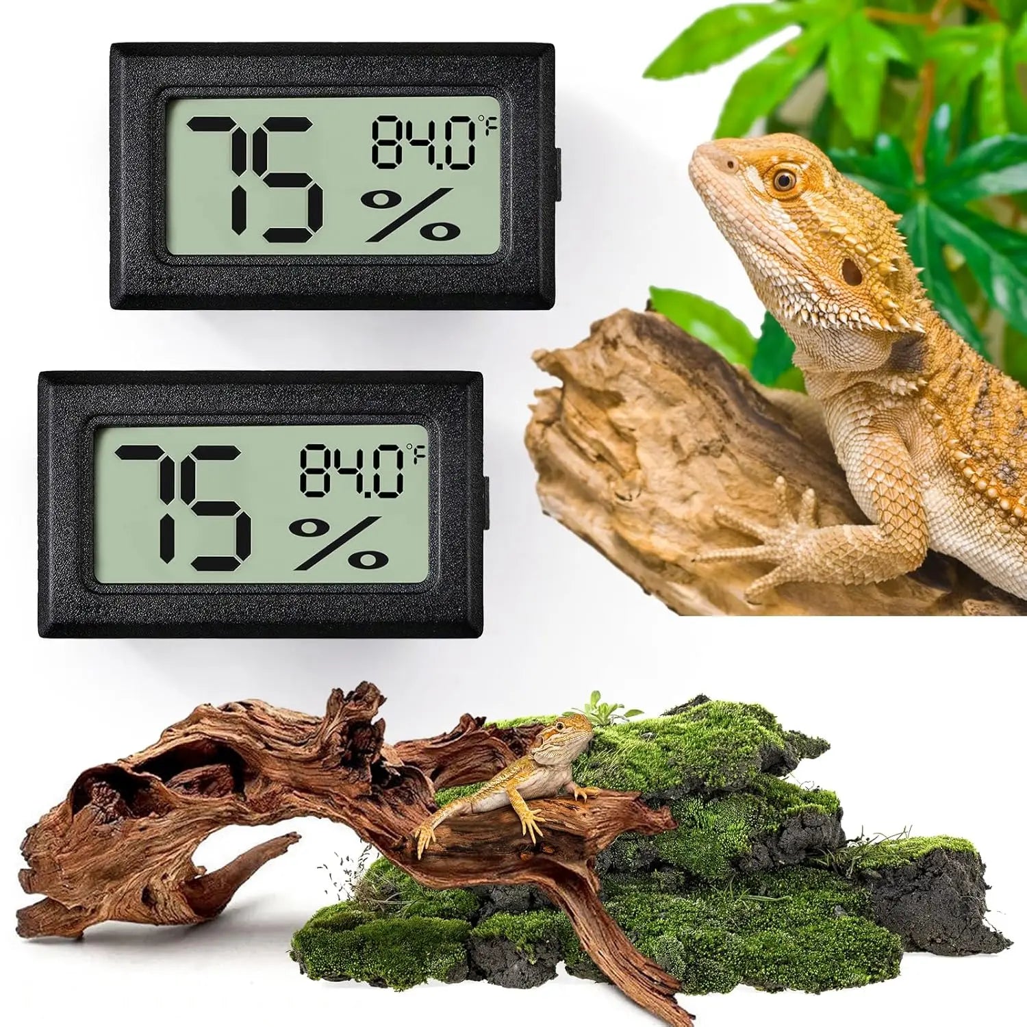 2-Pack 2-in-1 Thermometer & Hygrometer for Reptiles — Terrarium Tool for Reptiles and Amphibians Oasis Select 2pcs