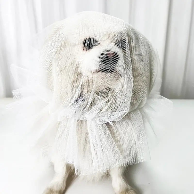 Pet Anti-Mosquito Headgear Random Eating Prevention Breathable Dog Head Cover Pet Protective Mask Comfort Anti-Bite Head Cover Oasis Select White