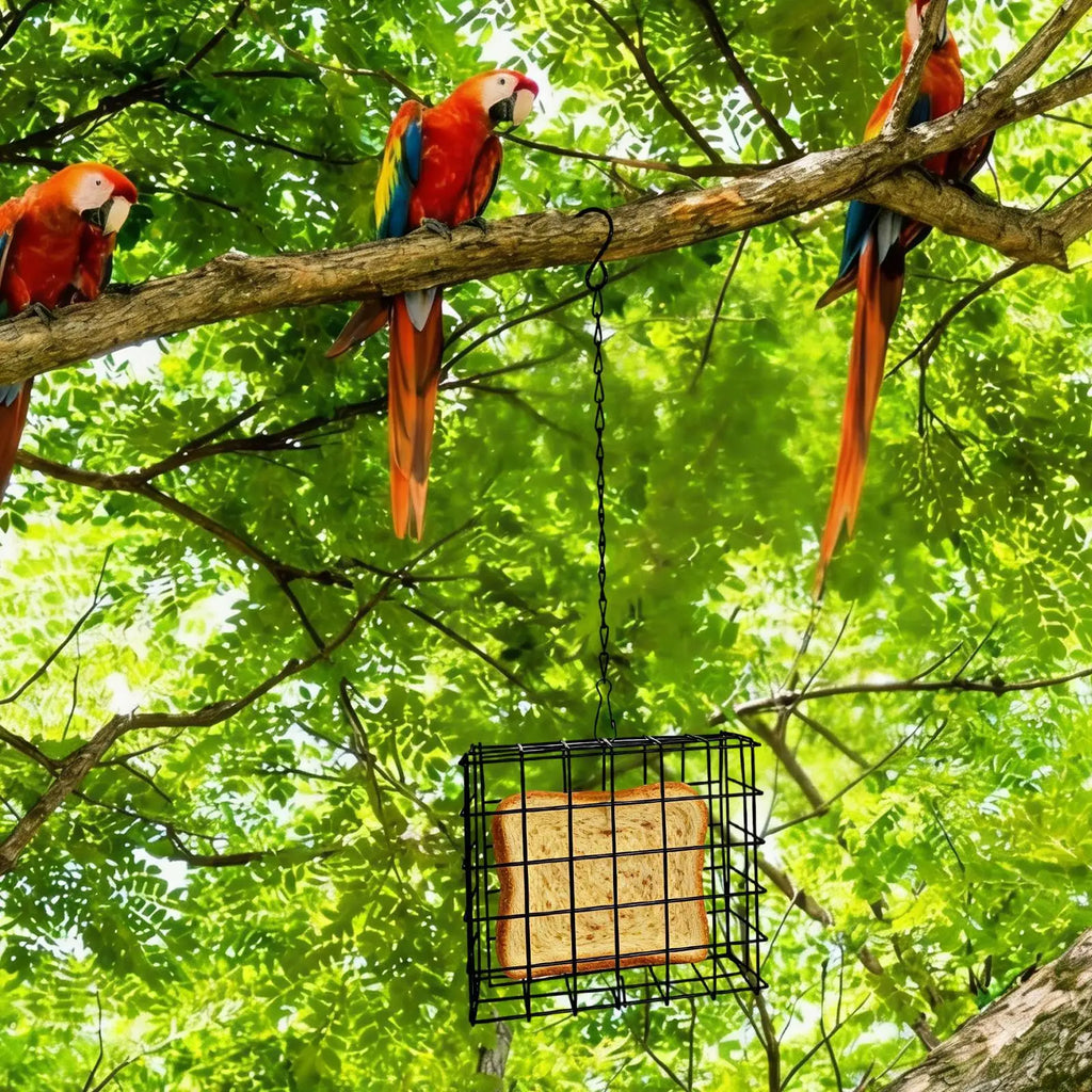 Suet Feeder Squirrel Proof Reusable Birdwatching Station Bird Suet Feeder for Balcony Garden Yard Patio Outdoor Hummingbirds Oasis Select