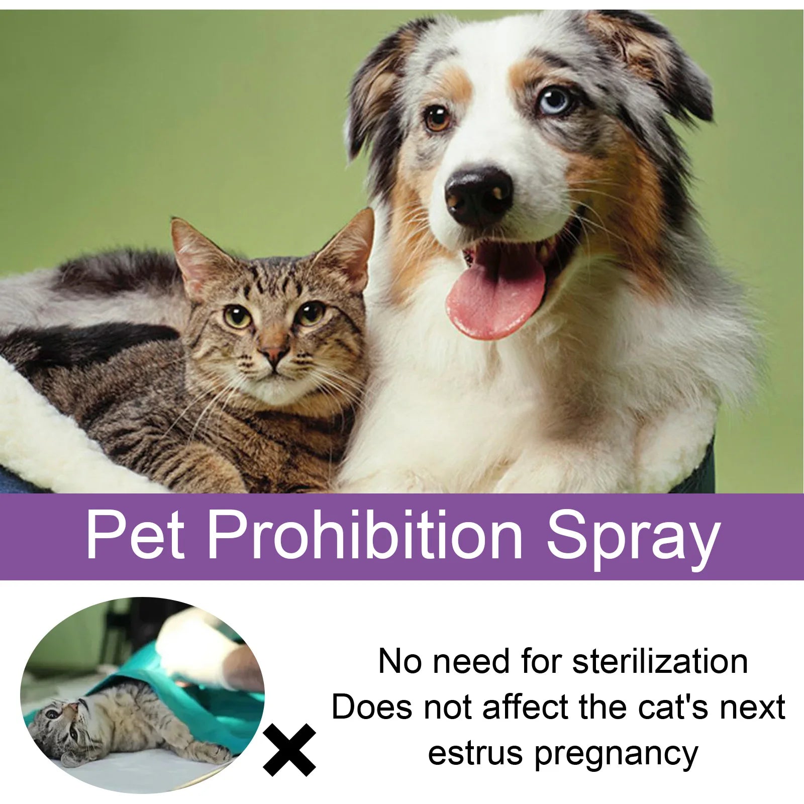 Pet Calming Spray Pheromone Mood Calming Diffuser Improve Estrus Agitation Anxiety Relief Prevent Howling Cat Dog Health Supply Oasis Select