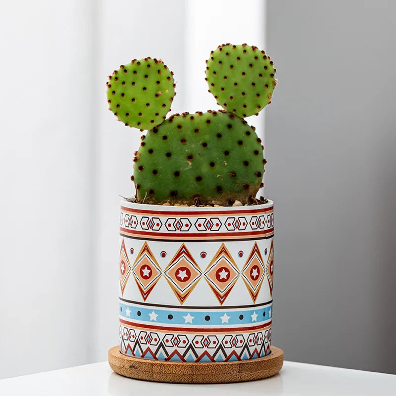 Circular geometric ceramic flower pot simple balcony garden succulent plant Phalaenopsis flower pot Oasis Select