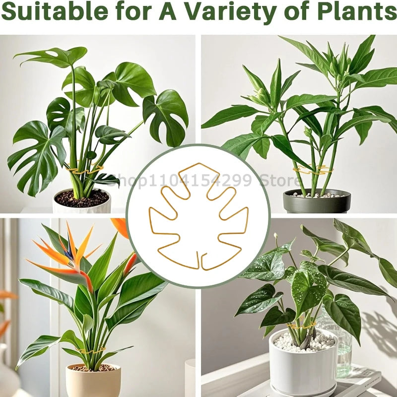 Large Monstera Plant Support Frame Sturdy Climbing Stems Leaf Stabilizer for Tall Houseplant Hanging Plant Stand Plants Holder Oasis Select