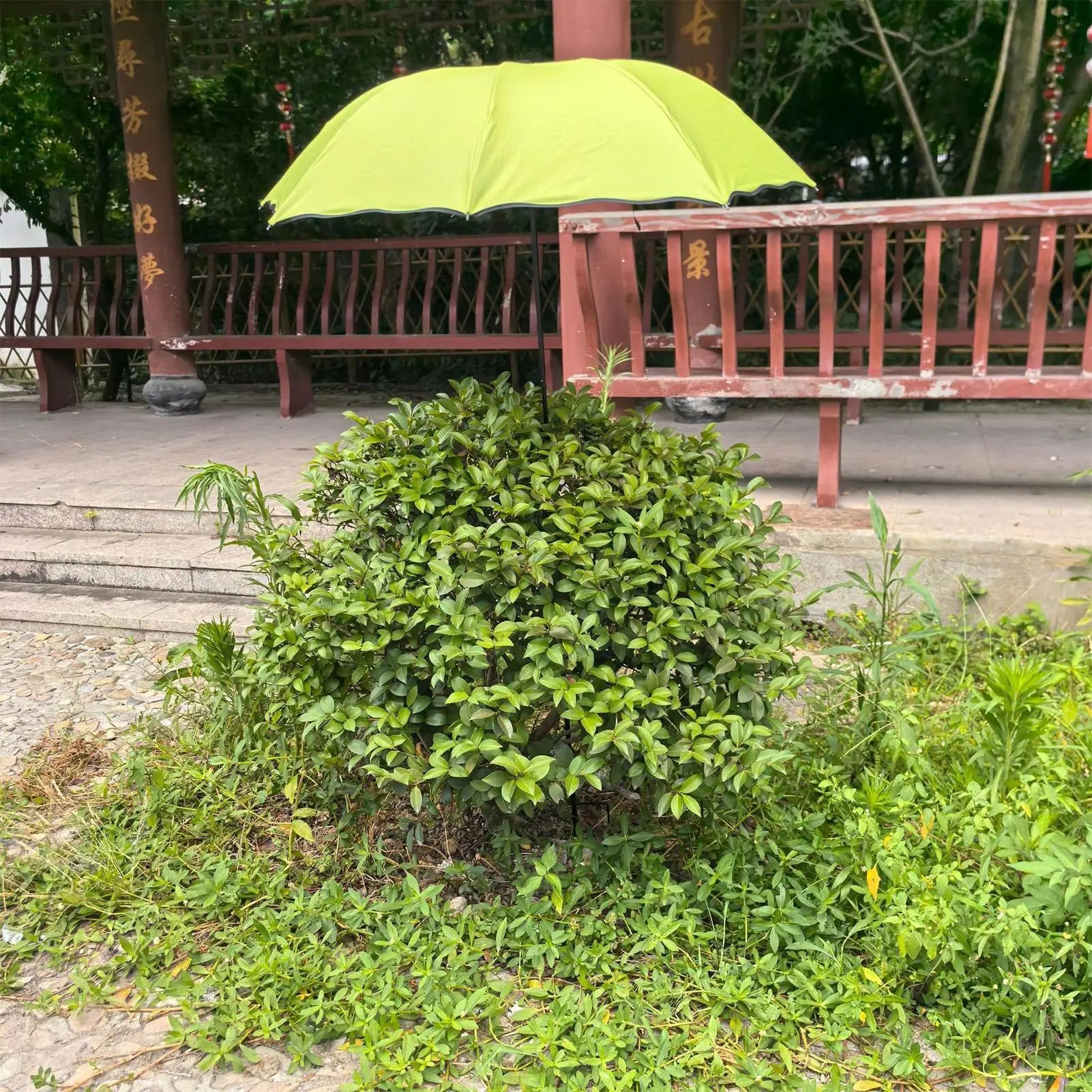 Plant Shade Umbrella Waterproof Garden Umbrella for Outdoor Courtyard Beds Backyard Parasol Plants Sun Protection cover Oasis Select