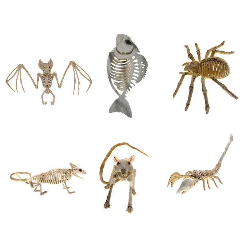 Halloween Skeleton Piranha Lizard Spider Mouse Bat Scorpion Skeleton Animal Skeleton Oasis Select