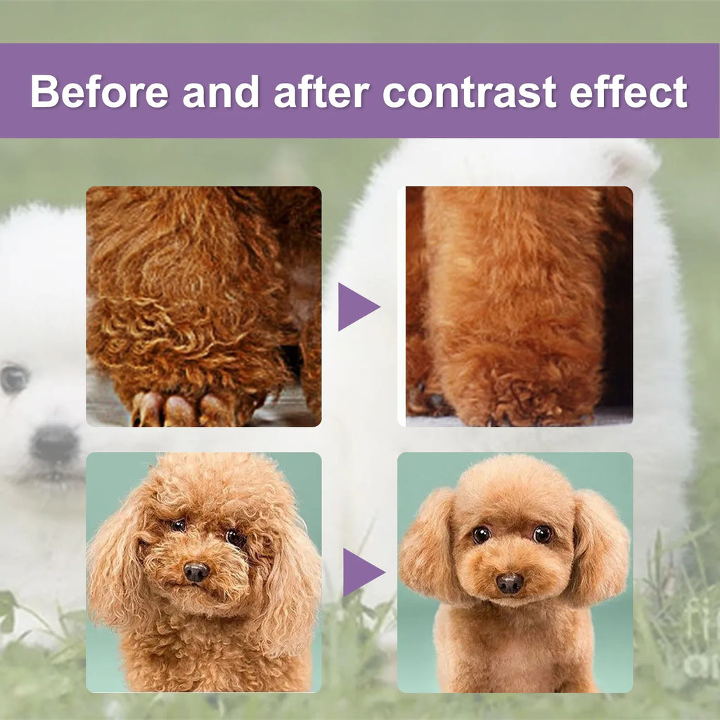 YEGBONG Pet Hair Conditioner – Anti-Knot & Odor Removal 50ml Pet Hair Conditioner Oasis Select