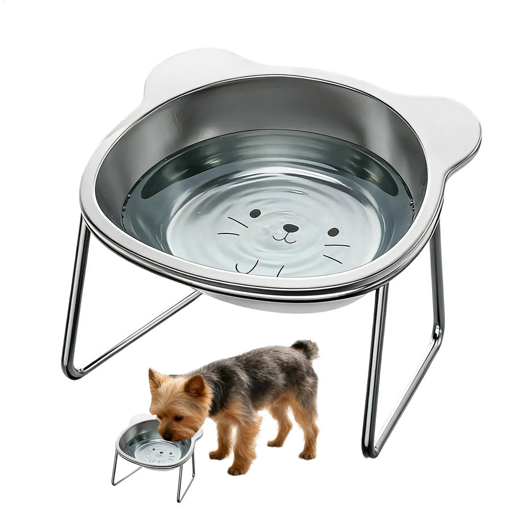 Cat Bowls Elevated Stainless Steel 15 incline Non-Slip Dishes Detachable Kitten Bowl A Tall Cat Bowl For Holding Food And Water Oasis Select