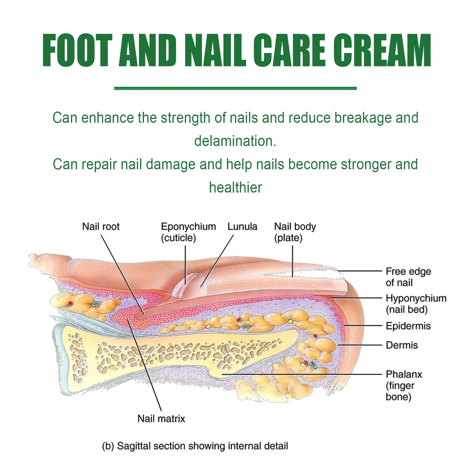 Nail Cuticle Care Cream - Moisturizing Treatment For Dry Cracked Feet Brittle Nails With Glycerin Mineral Oil Strengthens Nails Oasis Select