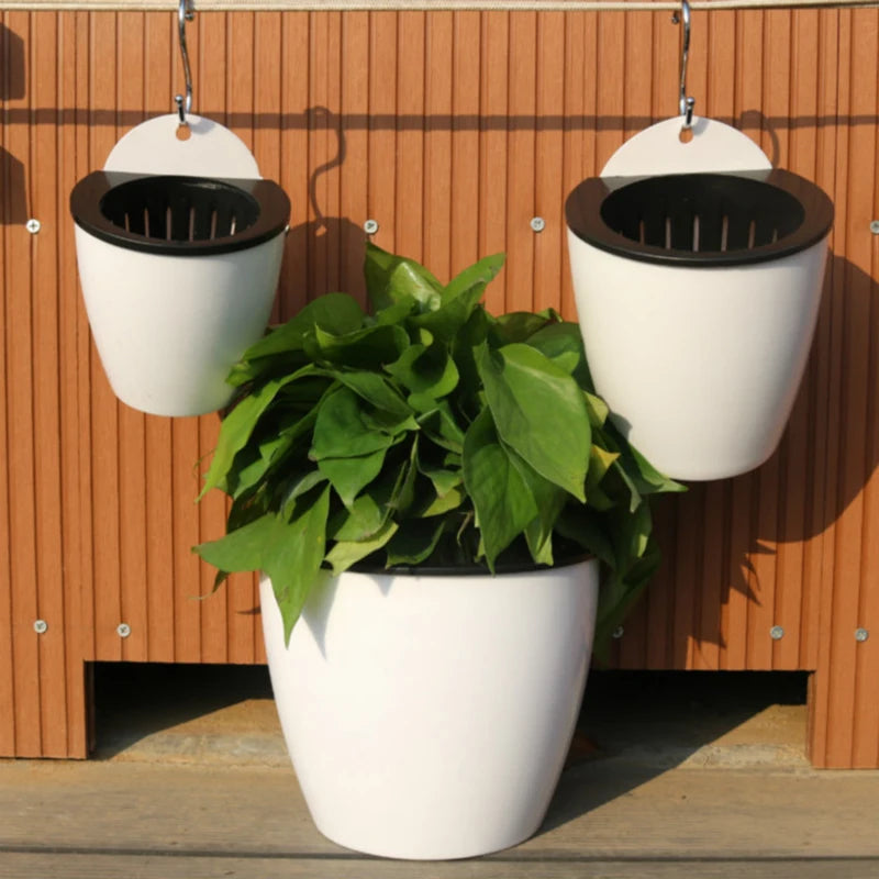 Wall-Mounted Indoor Automatic Water-absorbing Flowerpot Plastic Flowerpot Succulent Green Dill Green Plant Flower Pot Decor Oasis Select