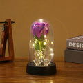 Enchanted Beauty And The Beast Rose Flower with Black Base LED Light In Glass Dome Valentine Christmas Gift Wedding Home Decor Oasis Select Purple