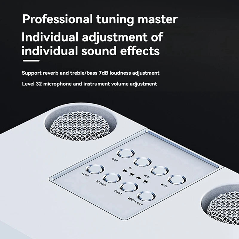 WISH KD-203 Karaoke Set Karaoke Speaker Wireless Bluetooth Dual Microphone Speaker Microphone Machine Oasis Select