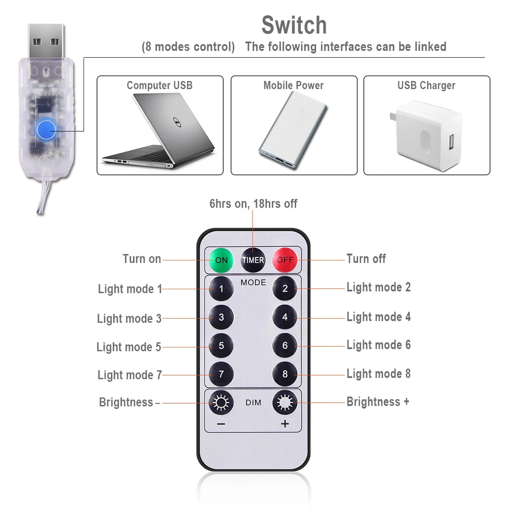 3M LED Curtain Lights with USB Remote Control Fairy Garland Lamp for Wedding Birthday New Year Party Decor Holiday Gift Oasis Select