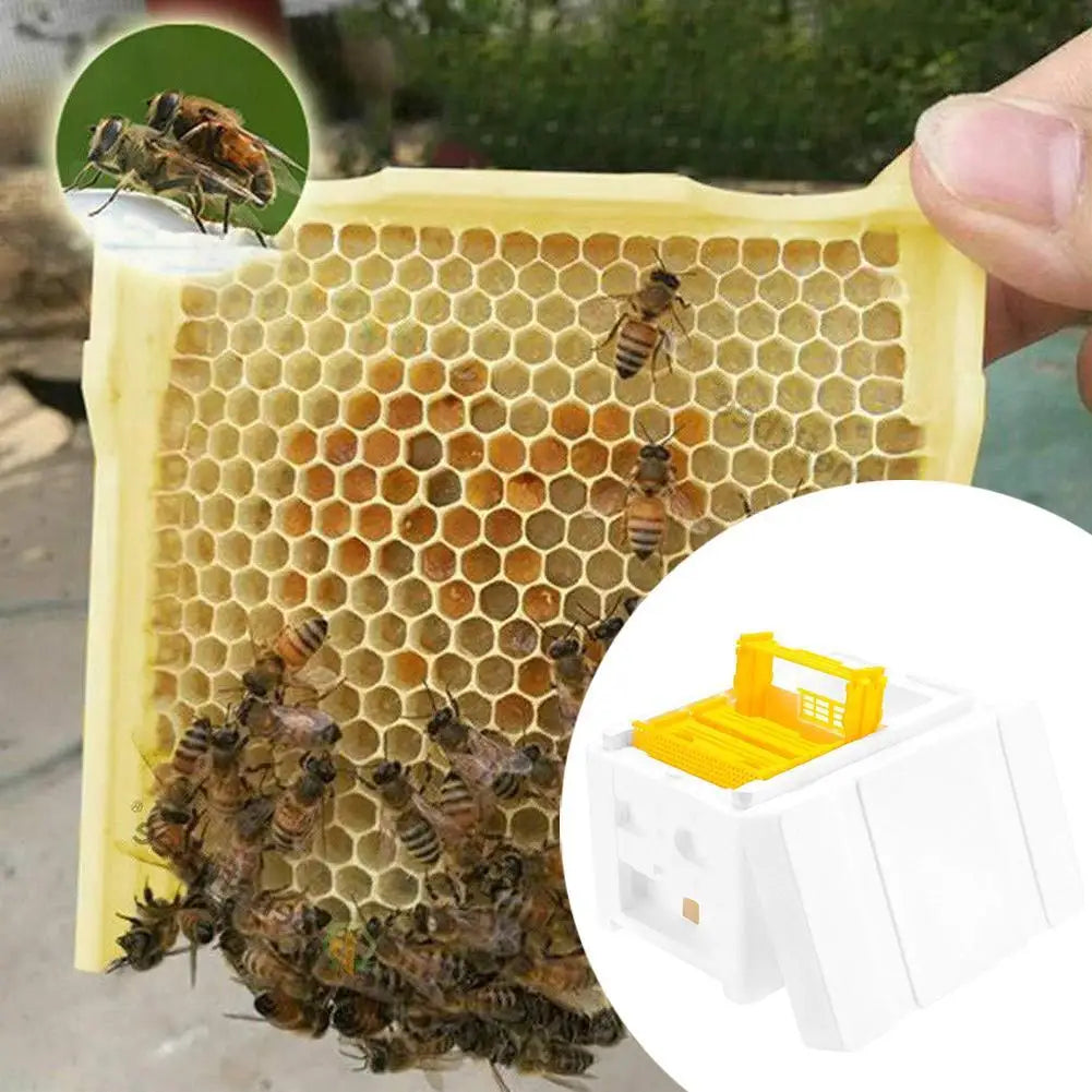 Multi-Function Beehive Beekeeping King Box Foam Home Bee Hive Pollination Boxes Harvest Bee Hive Beekeeper Mating Supplies Oasis Select