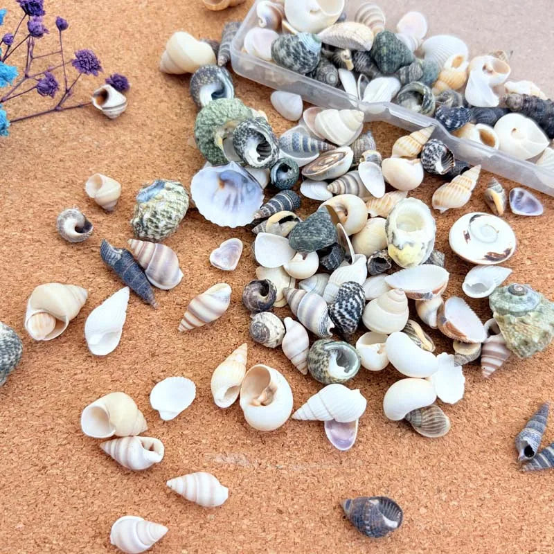 1 Box Mix Resin Simulation Pearls Shell For Home Decoration DIY Craft Photo Frame Friend Gifts Drift Bottle Aquarium Decorations Oasis Select